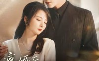 【离婚后，厉先生急得团团转】82集免费短剧全集畅快在线观
