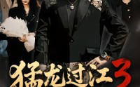 【猛龙过江3之只手遮天】64集短剧在线免费观看无阻