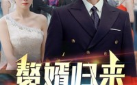 【赘婿归来】101集全集短剧在线高清流畅播放