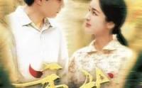 【重生2004】94集短剧免费在线观看，重温经典岁月