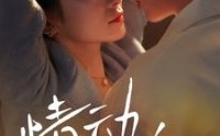 【情动小玫瑰】全集100集在线观看不卡顿
