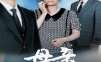【母亲的荣耀】71集短剧免费完整版在线观看