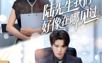 【陆先生我们好像在哪见过】70集完整版短剧在线观看不卡顿
