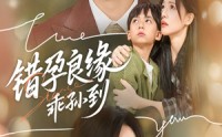 【错孕良缘乖孙到】61集短剧全集免费在线速看