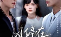 【风停在转身时】72集全集短剧在线观看无删减