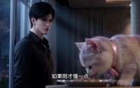 【宅喵记事】165集短剧免费全集在线赏看