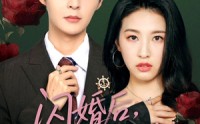 【闪婚后陆总又争又抢】83集高清短剧在线观看，解锁甜蜜剧情