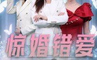 【惊婚错爱】30集完整版短剧在线观看不卡顿