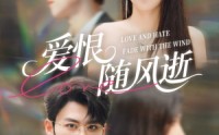 【爱恨随风逝】62集在线看短剧完整版