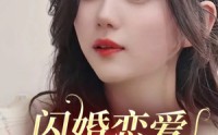 【闪婚恋爱进行时】77集完整版短剧，在线观看不卡顿