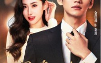 【闪婚后九爷马甲藏不住了】90集短剧免费在线观看，剧情抢先看