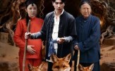 【金狐奇缘】42集短剧免费全集赏看