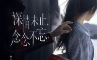 【深情未止，念念不忘】83集精彩短剧免费在线看