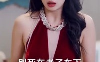 【请跟我的老公结婚吧】66集完整短剧在线高清播放