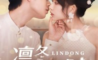 【凛冬予光时】60集免费短剧在线速看