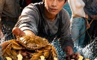 【神瞳赶海开局捡到黄油蟹】136集免费短剧全集在线赏