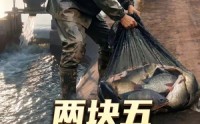 【两块五收我的鱼？做梦！】15集短剧免费高清观看