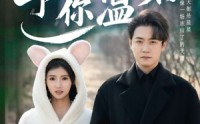 【星河予你温柔】63集短剧在线观看，高清画质尽享视觉盛宴
