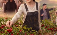 【不分钱，我逆袭成樱桃女王】40集短剧免费高清观看