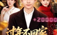 【过年不回家，我和校花赚翻天】80集短剧免费在线赏看
