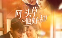 【回头草，他好甜】80集短剧极速播放在线观看