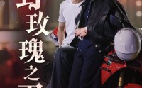 【野玫瑰之刃】96集短剧全集免费在线播放，随时随地看