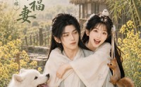 【荒年替嫁：家有旺夫小福妻】65集短剧免费高清观看