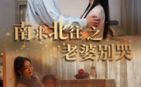 【南来北往之老婆别哭】87集短剧免费观看，剧情紧凑不容错过