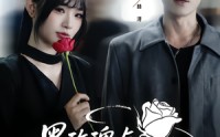 【黑玫瑰与天才操盘手】81集夸克网盘短剧轻松看