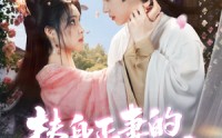 【替身正妻的计中计】77集短剧在线观看，全集高清资源