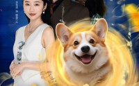 【萌犬上仙坏男人退散指南】34集短剧完整版在线欣赏