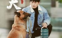 【忠犬】34集短剧免费在线一口气看完