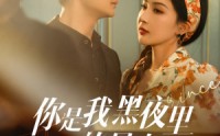 【你是我黑夜里的星光】80集免费短剧完整版在线播放