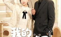 【我的猫妖妻子】30集短剧免费高清在线看