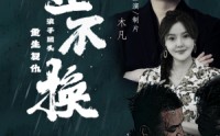 【金不换】32集短剧迅雷下载或在线观看