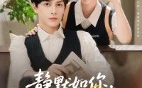 【静默如你喧嚣如我】80集短剧在线观看，精彩剧情不错过