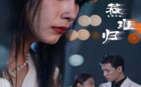 【燕南飞，燕难归】31集短剧手机在线随时看