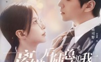 【离婚后陆总倒追我帮我提鞋】100集全集打包下载，离线也能看