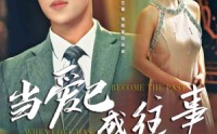 【当爱已成往事】28集短剧极速高清在线观看