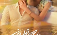【离婚吧，叶小姐她不忍了】72集短剧免费畅快观看