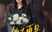 【他不再是我的光】60集短剧高清资源在线独家播放