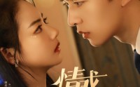 【情惑】80集短剧全集资源在线一站式观看