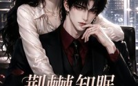 【荆棘知眠，夫人悄悄宠】116集热门短剧免费追剧