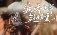 【病娇王爷彪悍妻】100集短剧在线观看，无需会员