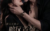 【猎人小姐之暗区首领的专属猎物】23集精彩短剧免费在线看全集