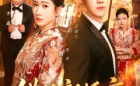 【错位新婚夜】68集短剧免费高清在线看