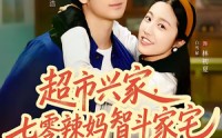 【超市兴家，七零辣妈智斗家宅】80集精彩短剧在线观看