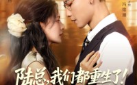 【陆总我们都重生了别离婚】79集线上免费短剧全集瞧