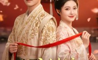 【公主错嫁：良缘终得】54集短剧免费全集乐看
