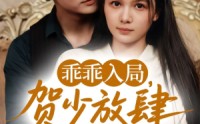 【乖乖入局贺少放肆娇宠】72集高清全集在线流畅观看